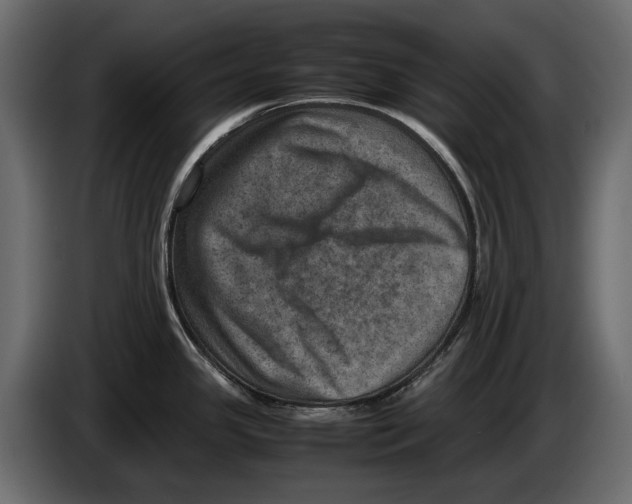 X0000082991341200703020837