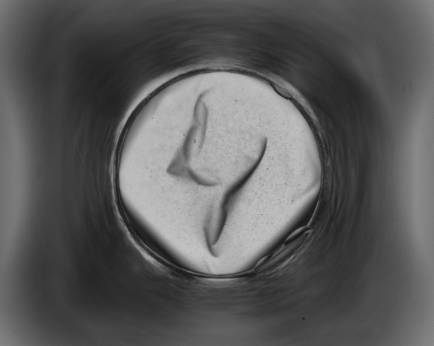 X0000082991343200703020837