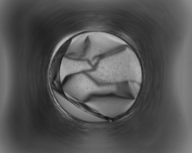 X0000082991344200703020837