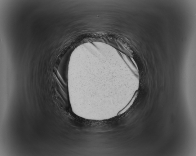 X0000082991345200703020836