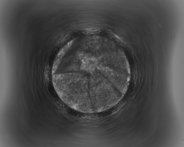 X0000082991346200703020836