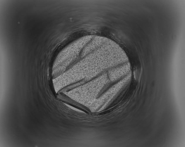 X0000082991347200703020836