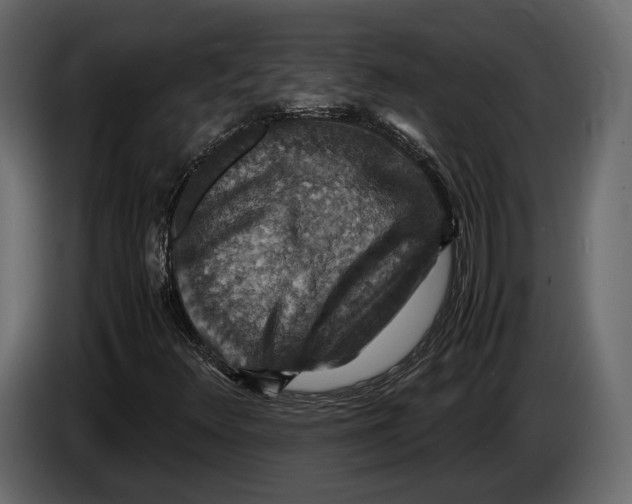 X0000082991348200703020836