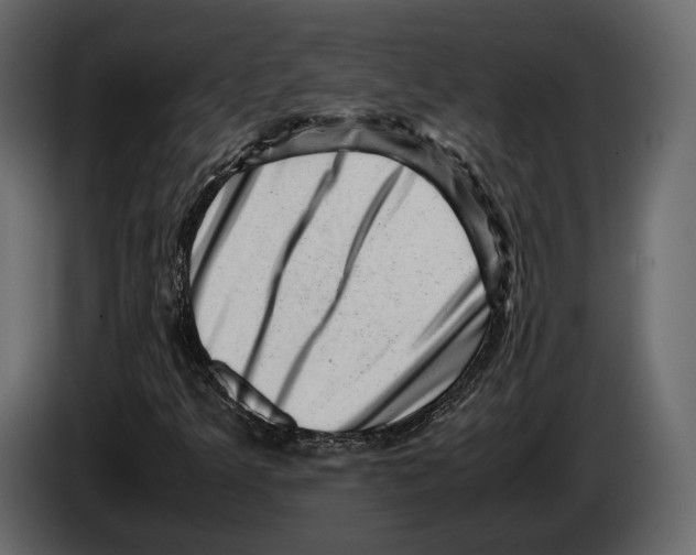 X0000082991349200703020836