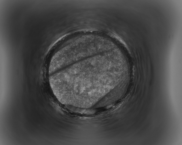 X0000082991352200703020836