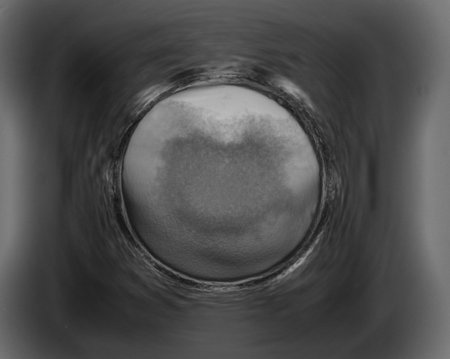 X0000082991353200703020836