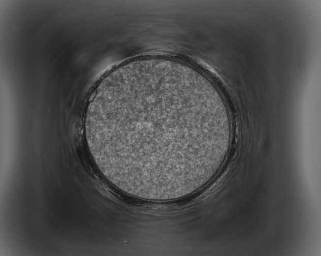 X0000082991355200703020836