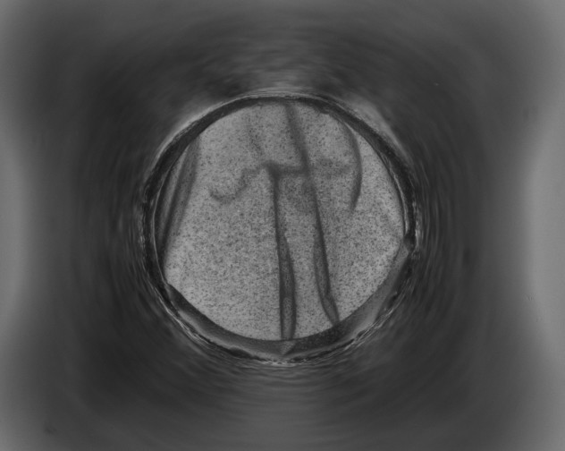 X0000082991356200703020836