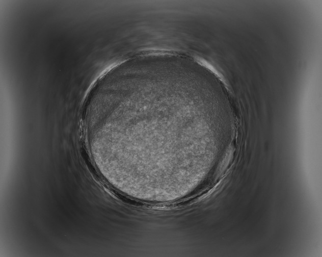 X0000082991357200703020836