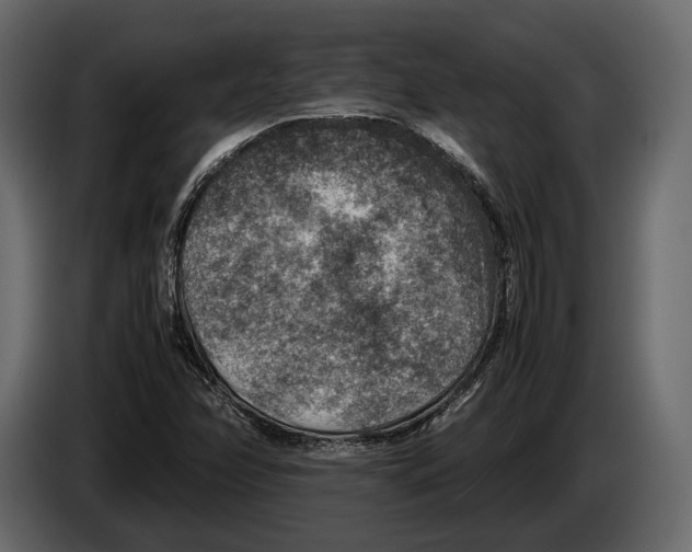 X0000082991358200703020836