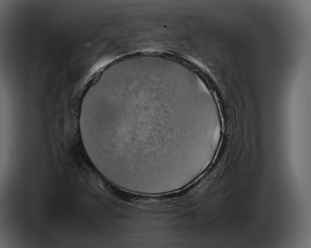 X0000082991359200703020836