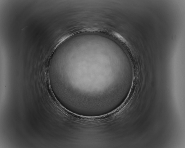 X0000082991361200703020836