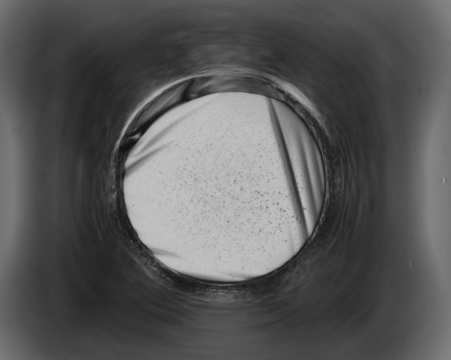 X0000082991364200703020836