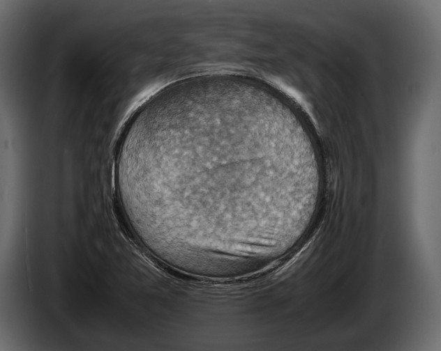 X0000082991365200703020835