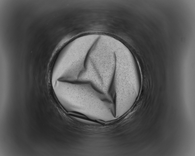 X0000082991366200703020835