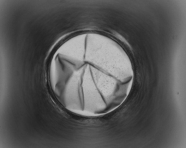 X0000082991368200703020835