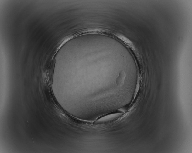 X0000082991369200703020835