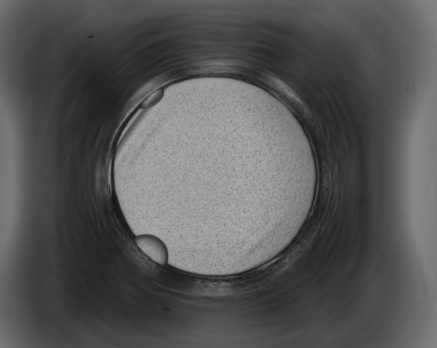 X0000082991370200703020835