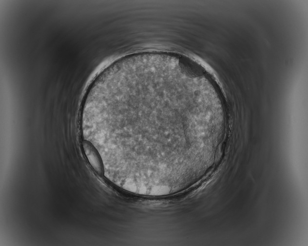 X0000082991373200703020835