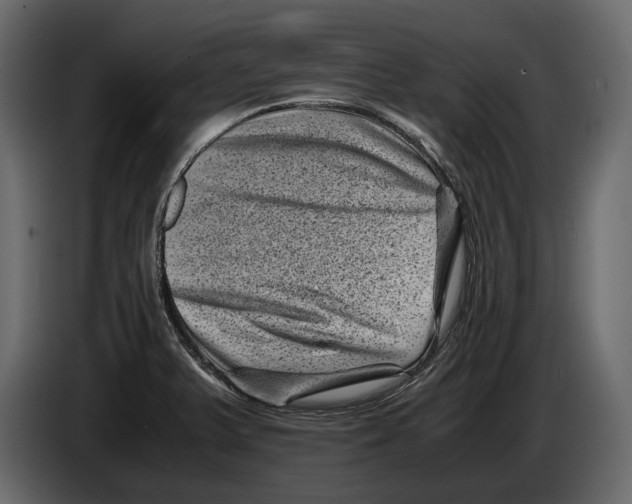 X0000082991375200703020835