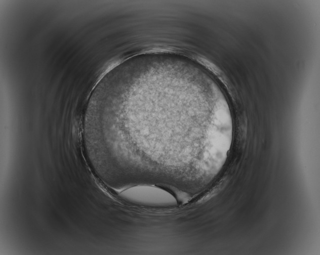 X0000082991377200703020835