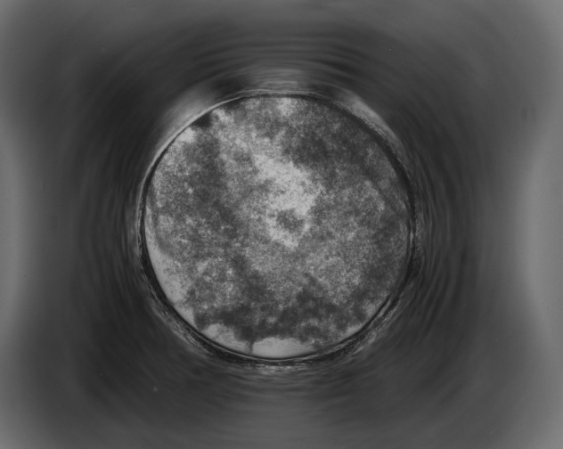 X0000082991378200703020835