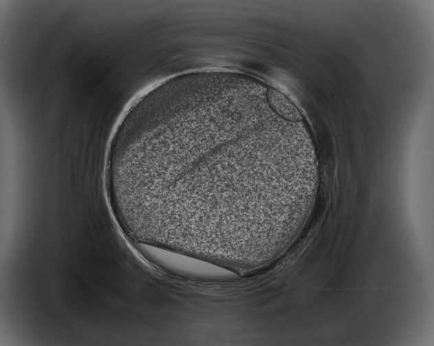 X0000082991379200703020835