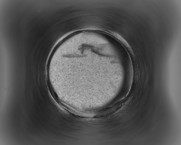 X0000082991380200703020835