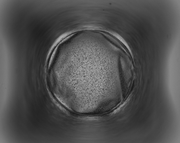 X0000082991381200703020835