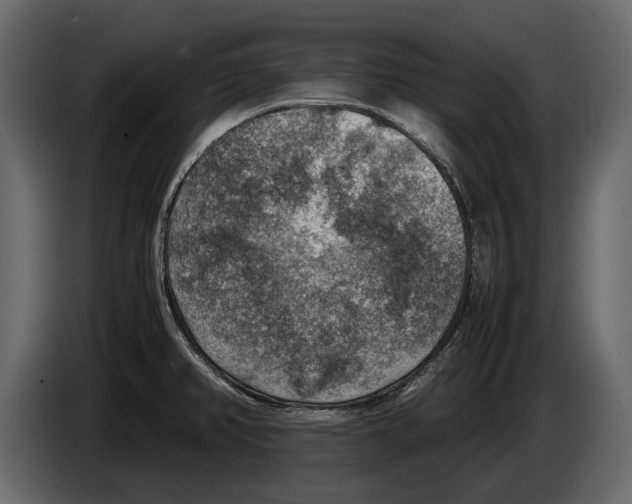 X0000082991382200703020835