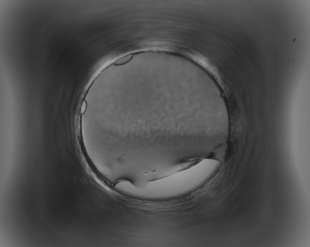 X0000082991383200703020835