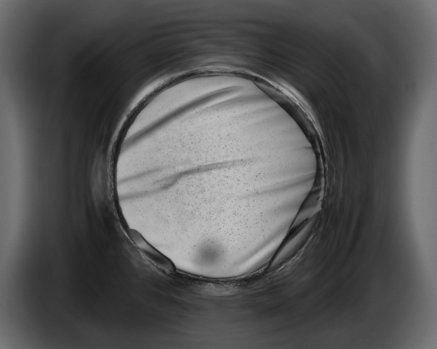 X0000082991384200703020835