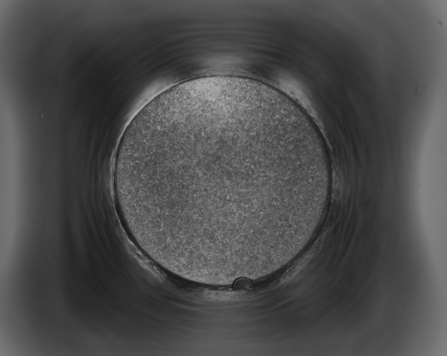 X0000082991386200703020835