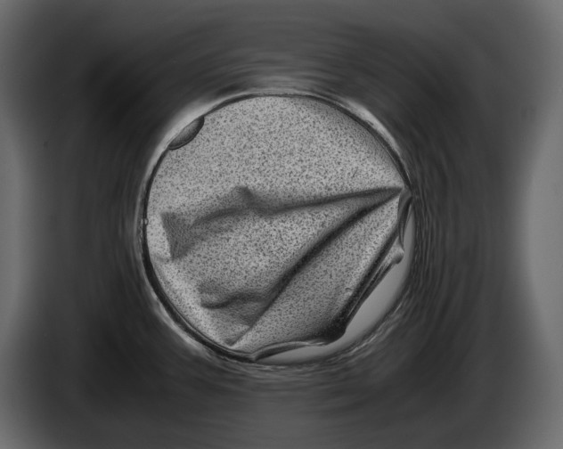 X0000082991387200703020835