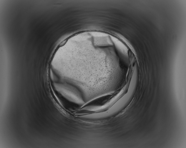 X0000082991388200703020835