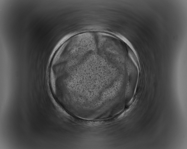 X0000082991389200703020835