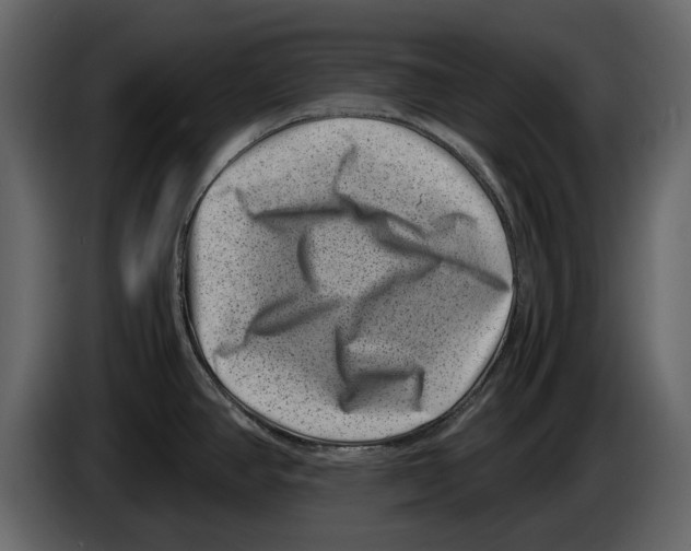 X0000082991390200703020835