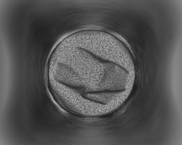 X0000082991391200703020835