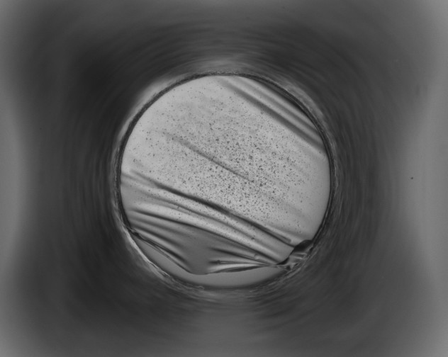 X0000082991392200703020835