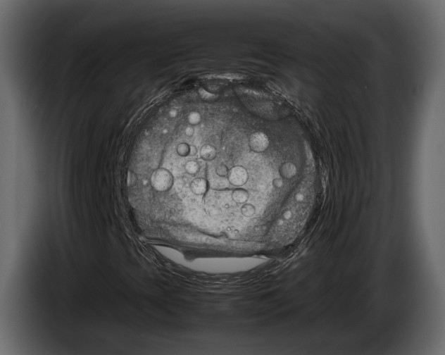 X0000082991393200703020835