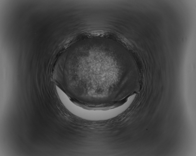 X0000082991394200703020835