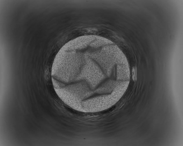 X0000082991395200703020835