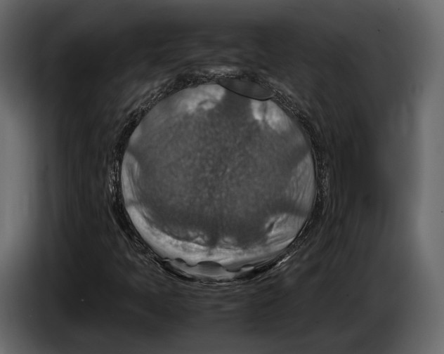 X0000082991397200703020835