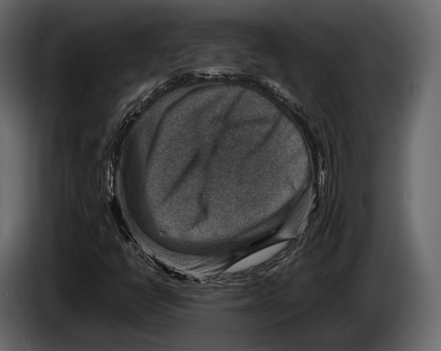 X0000082991398200703020835