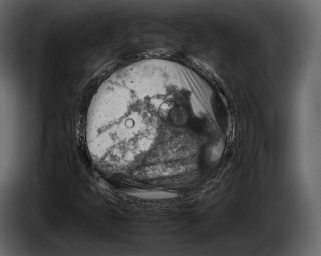 X0000082991399200703020835