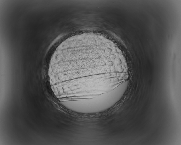 X0000082991400200703020835