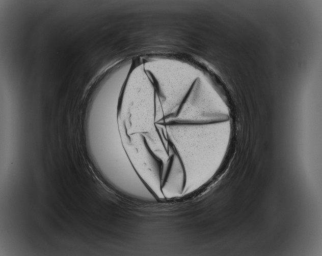 X0000082991402200703020835