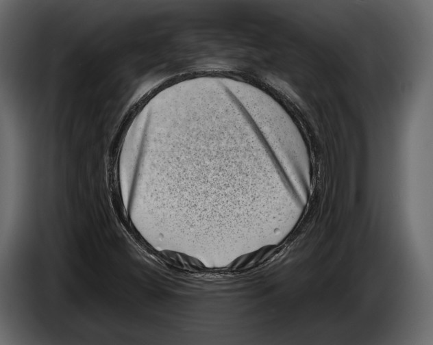 X0000082991404200703020835