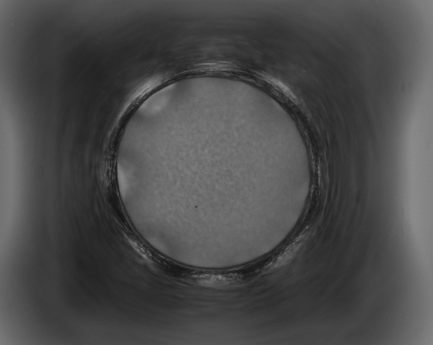 X0000082991405200703020835