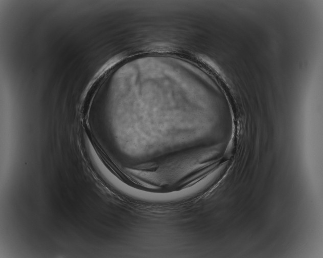 X0000082991410200703020835